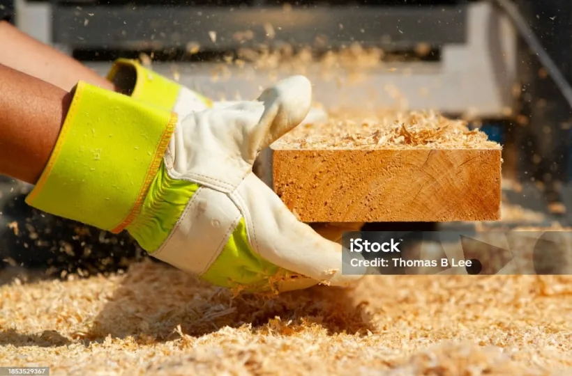 Istockphoto 1853529367 1024x1024
